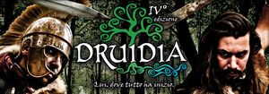 druidia celtic festival