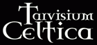 Tarvisium, cioè Treviso