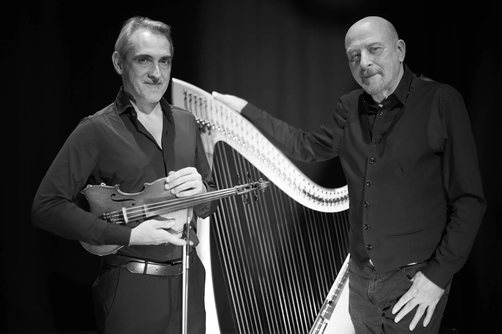 Vincenzo Zitello: arpa celtica, composizione e pionieri italiani