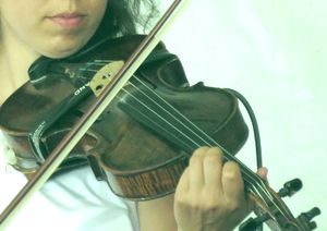 violino